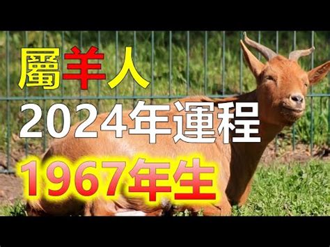 1967屬羊|【67年次屬】民國67年次屬什麼生肖？幾歲？一文搞。